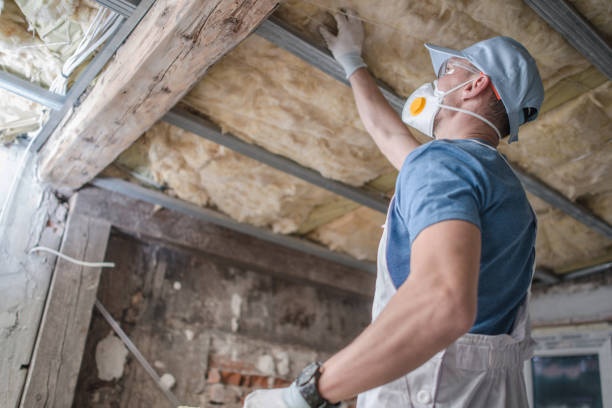 Best Home Insulation Services  in Frankfort Square, IL