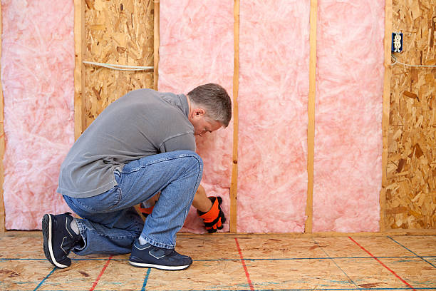 Best Blown-in Insulation  in Frankfort Square, IL