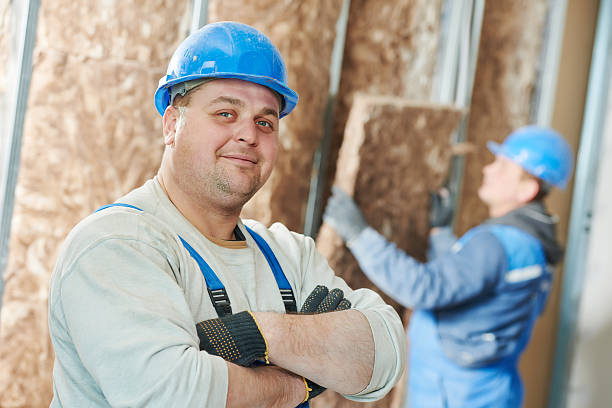 Best Insulation Inspection Services  in Frankfort Square, IL