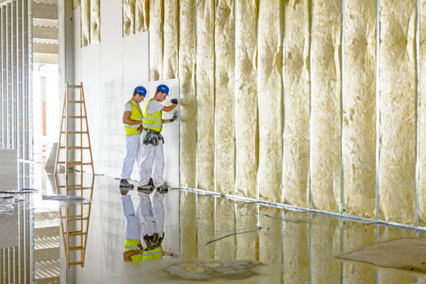 Best Insulation Contractors for Homes  in Frankfort Square, IL